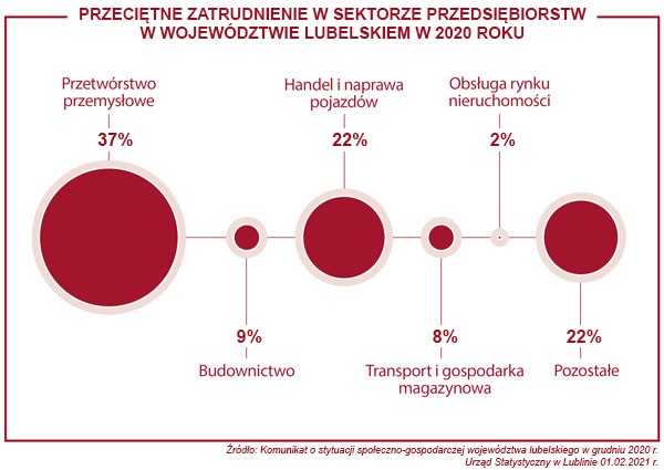 Obraz przedstawia wykresy kołowe podane procentowo przeciętnego zatrudnienia w sektorze przedsiębiorstw w województwie lubelskim w 2020 roku. Przetwórstwo przemysłowe, 37 procent, budownictwo, 9 procent, handel i naprawa pojazdów, 22 procent, transport i gospodarka magazynowa, 8 procent, obsługa rynku nieruchomości, 2 procent oraz pozostałe 22 procent.