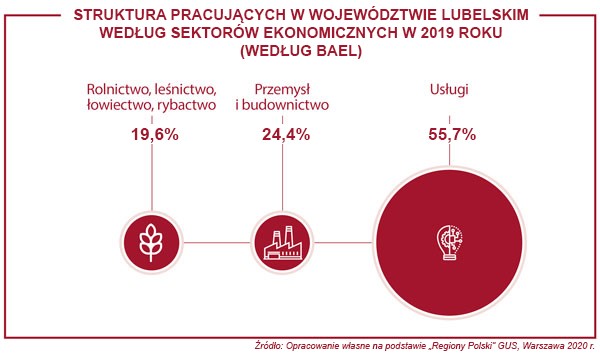 Obraz przedstawia wykresy kołowe podane procentowo struktury pracujących w województwie lubelskim według sektorów ekonomicznych w 2019 roku. Rolnictwo, leśnictwo, łowiectwo, rybactwo, 19,6 procent. Przemysł i budownictwo 24,4 procent. Usługi 55,7 procent.